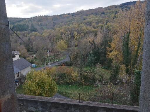 Les Granges Villa Saint-Nectaire Exteriör bild